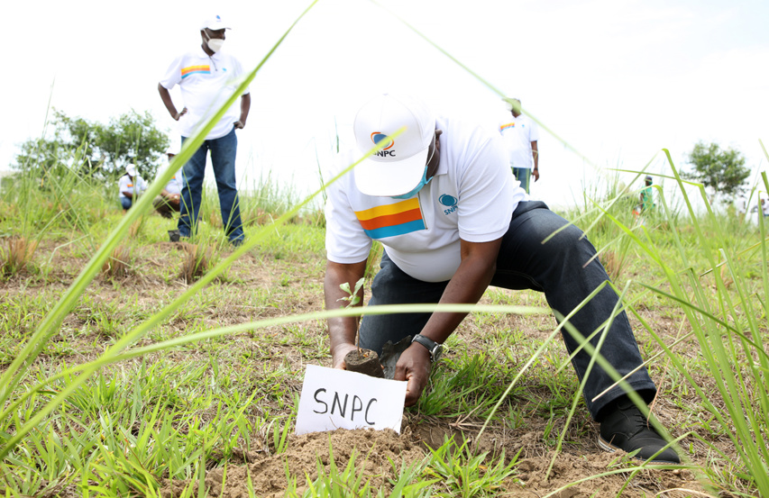 Les agents de la SNPC ont participé à la Journée nationale de l’arbre Les agents de la SNPC ont participé à la Journée nationale de l’arbre