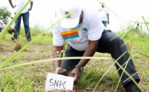 Les agents de la SNPC ont participé à la Journée nationale de l’arbre