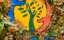 Le projet Eco Zamba dans le dernier numéro du magazine Jeune Afrique